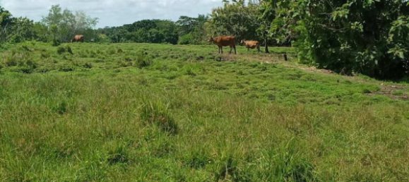 Terrain à Tabanan, Indonesia 29000m² No. 3690 4