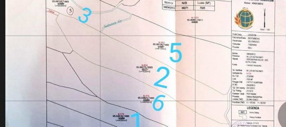 Terrain à Tabanan, Indonesia 29000m² No. 3690 3