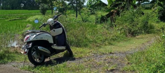 Terrain à Tabanan, Indonesia 29000m² No. 3690 7