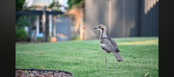 2 غرف نوم منزل في Macleay Island, Australia رقم 658 15