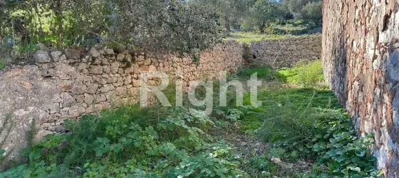 12088m² Land in Sao Bras de Alportel, Portugal No. 277564 13