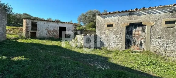 12088m² Land in Sao Bras de Alportel, Portugal No. 277564 6