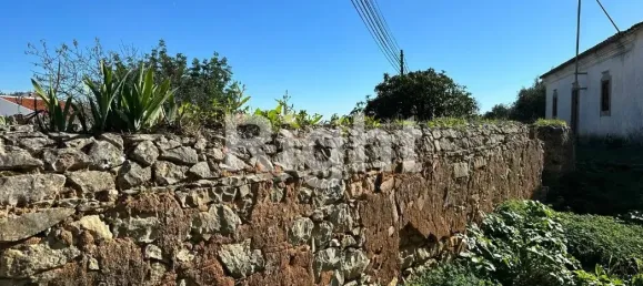 12088m² Land in Sao Bras de Alportel, Portugal No. 277564 7