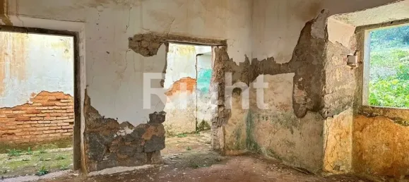 12088m² Land in Sao Bras de Alportel, Portugal No. 277564 10