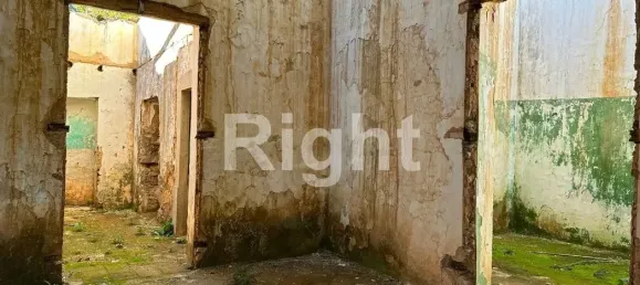 12088m² Land in Sao Bras de Alportel, Portugal No. 277564 15