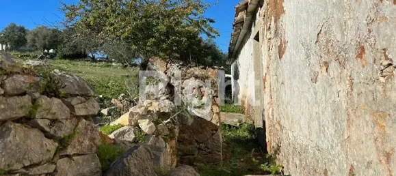 12088m² Land in Sao Bras de Alportel, Portugal No. 277564 16