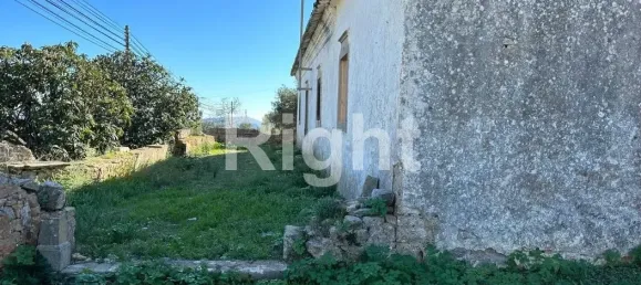 12088m² Land in Sao Bras de Alportel, Portugal No. 277564 9