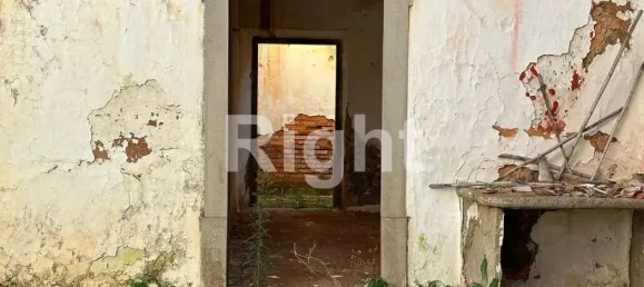 12088m² Land in Sao Bras de Alportel, Portugal No. 277564 12