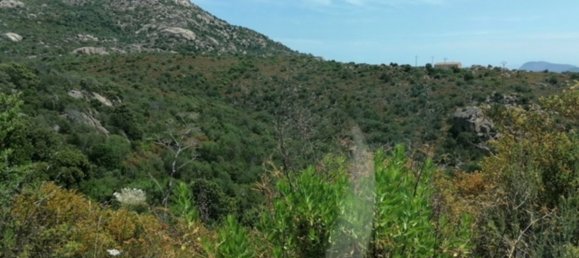 Hotel de 10 dormitorios en Olbia, Italy No. 49842 6