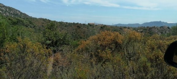 Hotel de 10 dormitorios en Olbia, Italy No. 49842 5