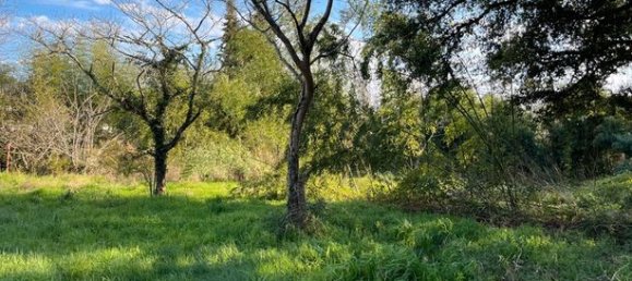 Земельный участок 2500м² в Рьон-де-Ланд, Франция № 285743 3