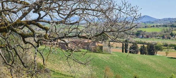 4 bedrooms House in Castiglione del Lago, Italy No. 62166 20