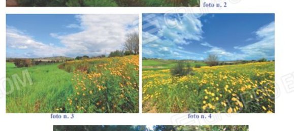 Villa de 7 dormitorios en Campobello di Licata, Italy No. 342957 22