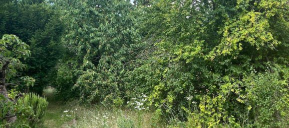 765m² Land in Neusiedl am See, Austria No. 152533 4