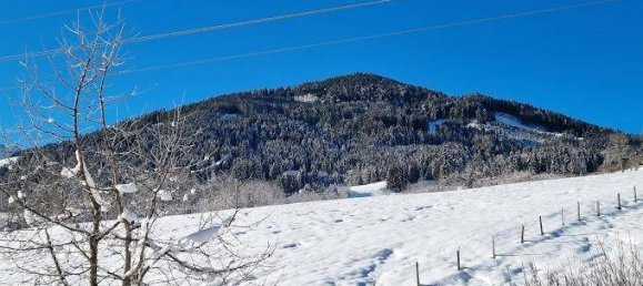 Hotel en Maria Alm am Steinernen Meer, Austria 500 m² No. 37375 7