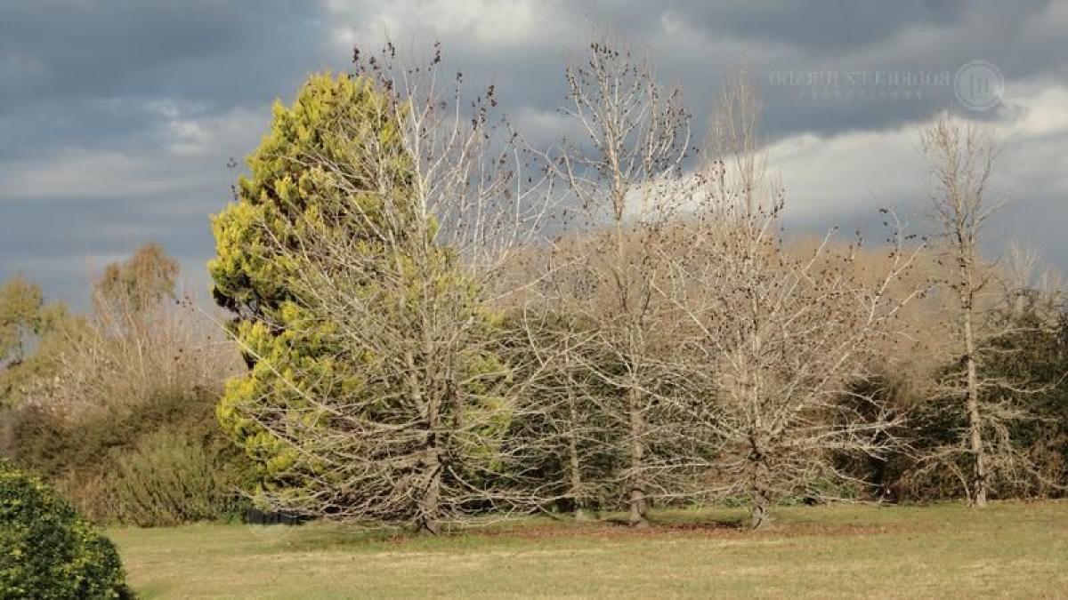 Land in General Rodriguez, Argentina No. 47531