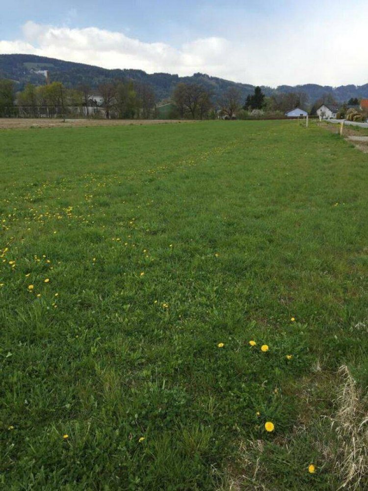 1959m² Land in Weisskirchen in Steiermark, Austria No. 156859