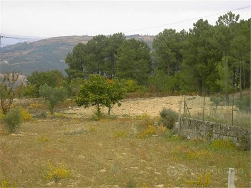 Grundstück in Tarouca, Portugal 6025m², Nr. 311206