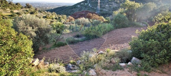 7 bedrooms House in Faro, Portugal No. 28870 2