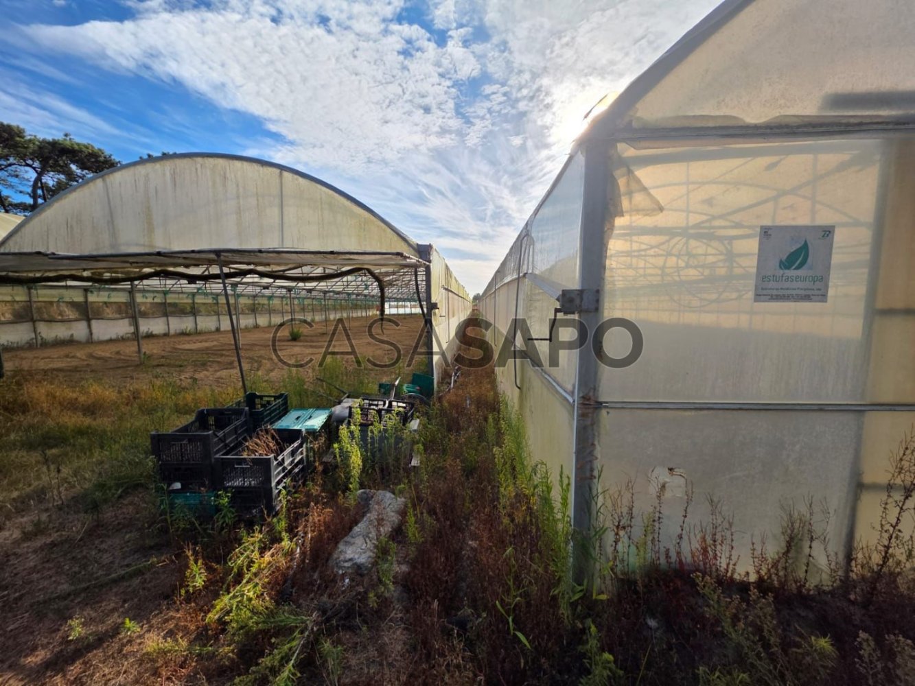 Grundstück in Esposende, Portugal, Nr. 325983