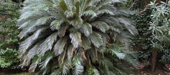 2 bedrooms Apartment in Florence, Italy No. 380365 22