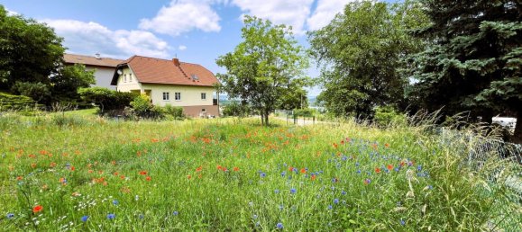  قطعة أرض في Klosterneuburg, Austria رقم 132458 2