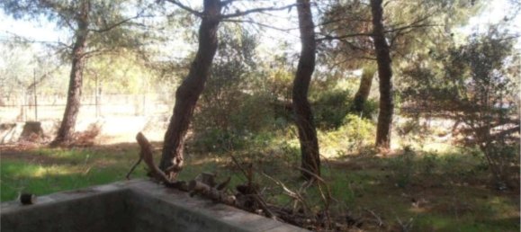 4-salle Appartement à Grumo Appula, Italy No. 96412 29