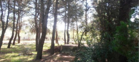 4-salle Appartement à Grumo Appula, Italy No. 96412 28