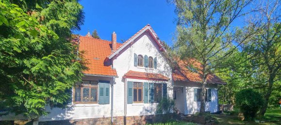 13 rooms Villa in Euskirchen, Germany No. 128142 2