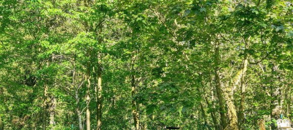 13 rooms Villa in Euskirchen, Germany No. 128142 21