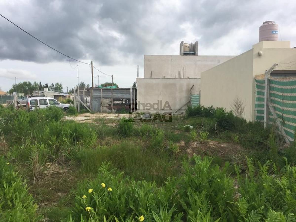 Grundstück in Campo Creado, Argentina, Nr. 41621