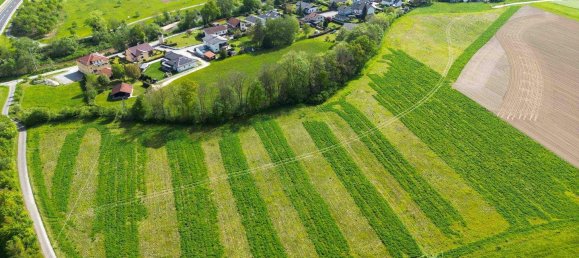 Terreno em Altheim, Austria N.º 53586 3