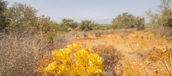  Land in Luz, Portugal No. 230519 12