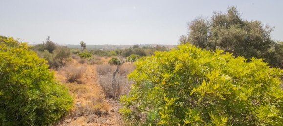  Land in Luz, Portugal No. 230519 10