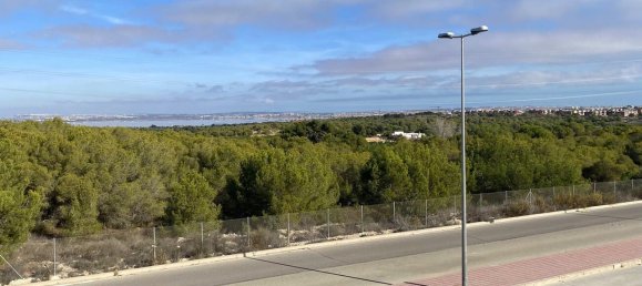 5 bedrooms House in Dehesa De Campoamor, Spain No. 188360 32