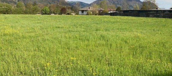 Земельный участок в Молльн, Австрия № 254410 4