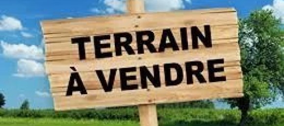  Land in Oletta, France No. 252141 2