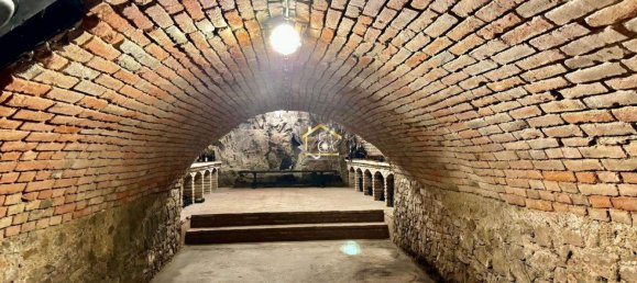 16 rooms Castles in Klosterneuburg, Austria No. 203003 15