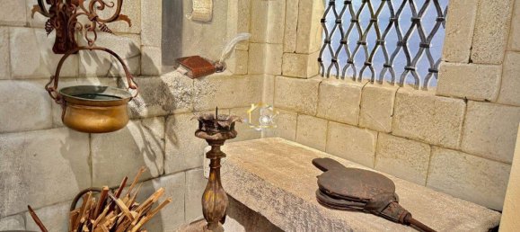 16 rooms Castles in Klosterneuburg, Austria No. 203003 13