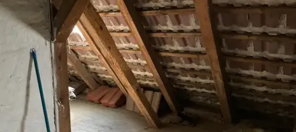 1 chambre Maison à Mecklenburgische Seenplatte, Germany No. 256717 12