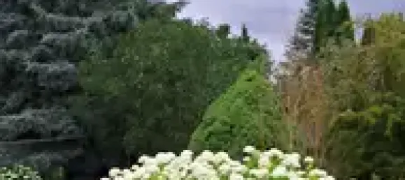 1 chambre Maison à Mecklenburgische Seenplatte, Germany No. 256717 15