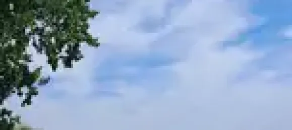 1 chambre Maison à Mecklenburgische Seenplatte, Germany No. 256717 16