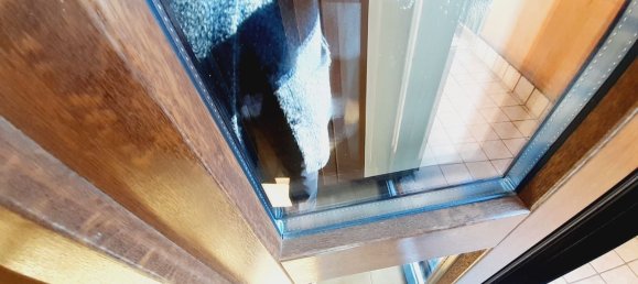 4 rooms Apartment in Bastida Pancarana, Italy No. 75414 13