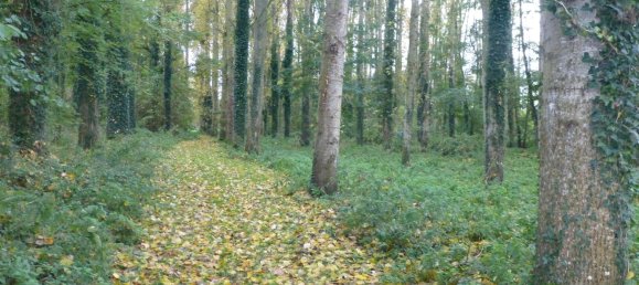 Imóvel comercial T6 em Greez-sur-Roc, France N.º 1850 5