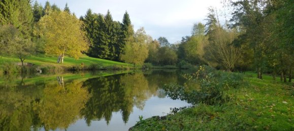 Imóvel comercial T6 em Greez-sur-Roc, France N.º 1850 7