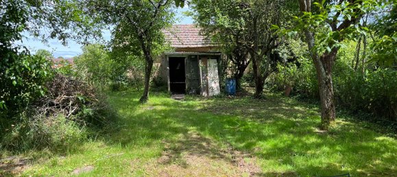 Дом с 5 спальнями в Томье, Франция № 272911 11