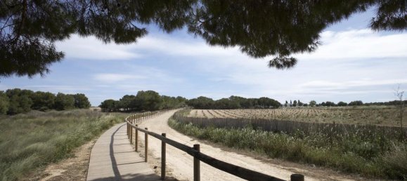 3 غرف نوم فيلا في Torrevieja, Spain رقم 287570 9