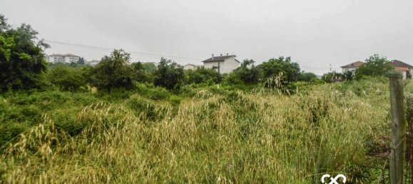 Grundstück in Mangualde, Portugal, Nr. 66162 3