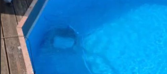 Villa de 12 dormitorios en Amelia, Italy No. 312479 35