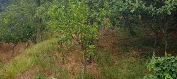 Villa de 7 habitaciónes en Barcellona Pozzo di Gotto, Italy No. 166798 18